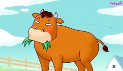 قورباغه و گاو - قصه های کودکانه ترانه قصه گویی